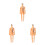 3Sets Anatomie Modelle, 3D Kinder Puzzle, - Und Spielzeug 4