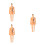 3Sets Anatomie Modelle, 3D Kinder Puzzle, - Und Spielzeug 5