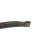 (Full, Havana/Navy) Whitaker Leather Micro Beads Horse Browband 3
