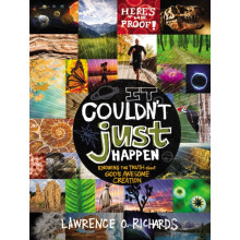 It Couldnt Just Happen by Lawrence O. Richards Paperback Book