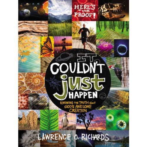 It Couldnt Just Happen by Lawrence O. Richards Paperback Book