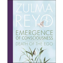 Emergence Of Consciousness by Zulma Reyo Hardcover Book