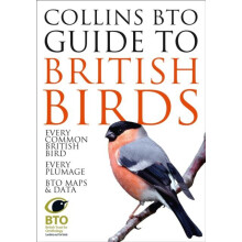 Collins BTO Guide to British Birds by Paul Sterry Paperback Book