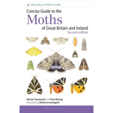 Concise Guide to the Moths of Great Britain and Ireland Second edition