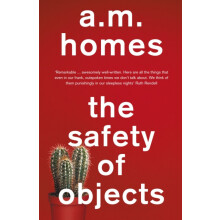 Safety Of Objects by A.M. Y Homes Paperback Book