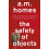 Safety Of Objects by A.M. Y Homes Paperback Book 1