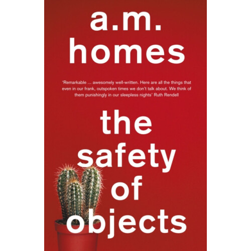 Safety Of Objects by A.M. Y Homes Paperback Book