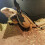 Lizard Harness Leash Set, Climbing Pet Going Out Leather Wing Chest Harness, Squirrel Traction Rope Silver 3