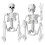 2 PeçAs de Esqueleto de DecoraçãO de Halloween, Esqueleto Suspenso de Corpo Inteiro de 16 Polegadas para DecoraçãO Interna e Externa 1