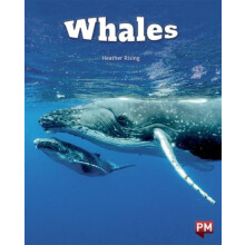 WHALES by HEATHER RISING Paperback Book