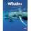 WHALES by HEATHER RISING Paperback Book 1