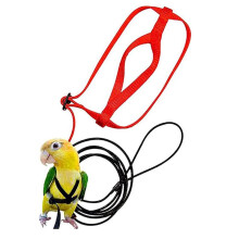 Bird Harness Leash Outdoor Flying Traction Straps Band Adjustable Anti-Bite Training Rope, M