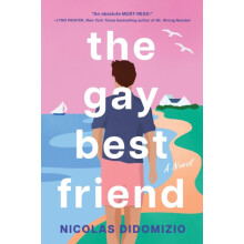 The Gay Best Friend by Nicolas DiDomizio Paperback Book