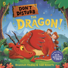 Dont Disturb the Dragon by Rhiannon Findlay Paperback Book
