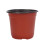 150 PeçAs 4,72 Polegadas Mudas de Flores de PláStico Suprimentos de Viveiro Vaso/Vasos Recipientes Vasos de Sementes Vasos de Plantio 3