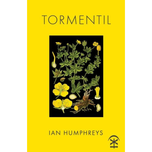 Tormentil by Ian Humphreys Paperback Book