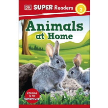 DK Super Readers Level 2 Animals at Home by DK Paperback Book