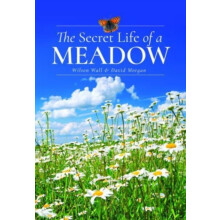Secret Life of a Meadow by David Morgan Hardcover Book