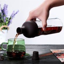 Glass Manual Cold Brew Coffee Machine Portable Cold Brew Coffee Pot Make Iced Coffee and Fruit Tea in Summer 800ML
