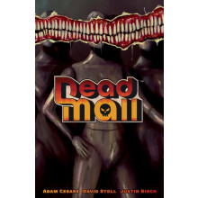 Dead Mall by David Stoll Paperback Book