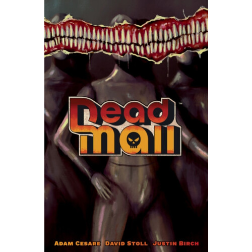 Dead Mall by David Stoll Paperback Book