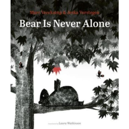 Bear Is Never Alone by Marc Veerkamp Hardcover Book