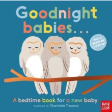 Goodnight Babies . . . Other Book