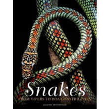 Snakes by Julianna Photopoulos Hardcover Book