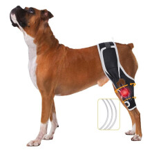 Dog Knee Brace for Acl and Ccl Injuries - Adjustable Support with Metal Stabilizers - Helps with Joint Pain, L