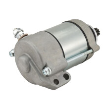 Motorcycle Motor Electric Motor Motorcycle Parts for 250 190