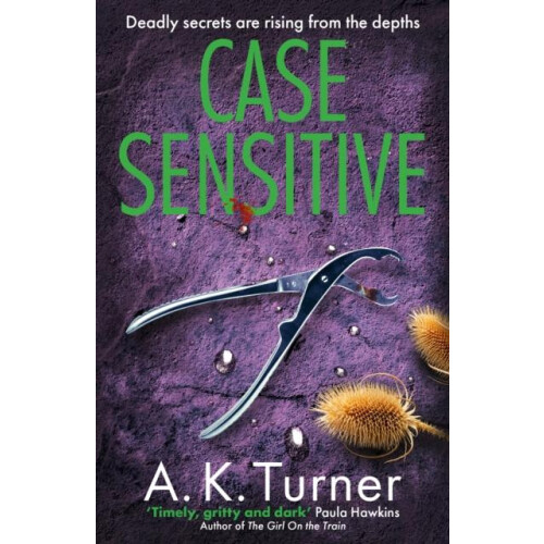 Case Sensitive by A. K. Turner Paperback Book