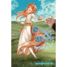Spice and Wolf Vol. 24 light novel by Jasmine Bernhardt Paperback Book