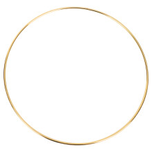 8Pcs 8 Inches Dream Catcher Rings Metal Hoops Macrame Ring for Crafts and Dream Catcher Supplies, Gold