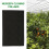 60Pcs Garden Clone Collars Neoprene Inserts Sponge Block para 2 Polegadas Net Pots Hydroponics Systems e Máquinas de Clonagem 5