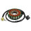 21003-0067 Motorcycle Generator Stator Coil for  KFX450R 2008 2009 2010 2011 2012 2013 2014 1