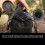 CAMPINGMOON BC-200 Insulation Bag Outdoor Ice Pack Beverage Refrigerator Fresh Fruit and Vegetable Lock Bag 5