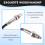 A0009053903 5WK96771B Nitrogen Oxygen Sensor NOx Sensor for - CLS320 CLS400 E400 E320 C218 C207 5