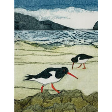 Wild Birds Pocket Notebook Oystercatcher Other Book
