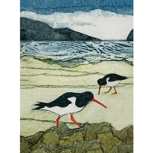 Wild Birds Pocket Notebook Oystercatcher Other Book