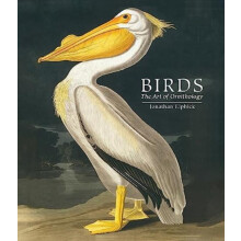Birds by Jonathan Elphick Hardcover Book