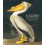 Birds by Jonathan Elphick Hardcover Book 1