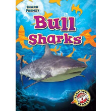 Bull Sharks by Rebecca Pettiford Hardcover Book