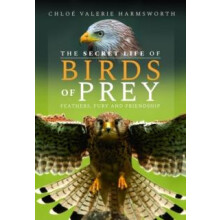 The Secret Life of Birds of Prey by Chloe Valerie Harmsworth Hardcover