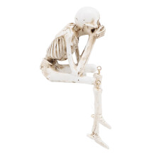 Figurine de squelette à corps entier en résine pour table