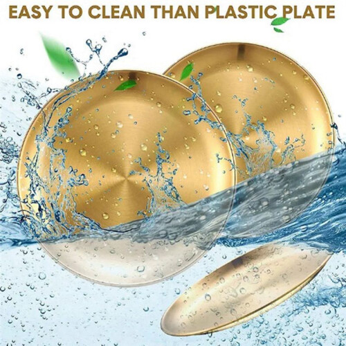 Stainless Steel Round Plate Camping Dishes Rust-Proof Stackable Food Serving Plate 20cm 2