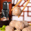 Household Sweet  Maker Small Automatic Dumpling Machine Meatball Maker Making Fish Meat  Forming Machine UK Plug 4