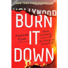 Burn It Down by Maureen Ryan Paperback Book