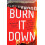 Burn It Down by Maureen Ryan Paperback Book 1