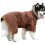 Pet Towel Coat for Quick Drying 1