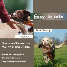 2 Pcs Pheasant Dummy Bumper Toy for Hunting Retriever Dog Training, Hunting Duck Recognition Trainers,Ducks